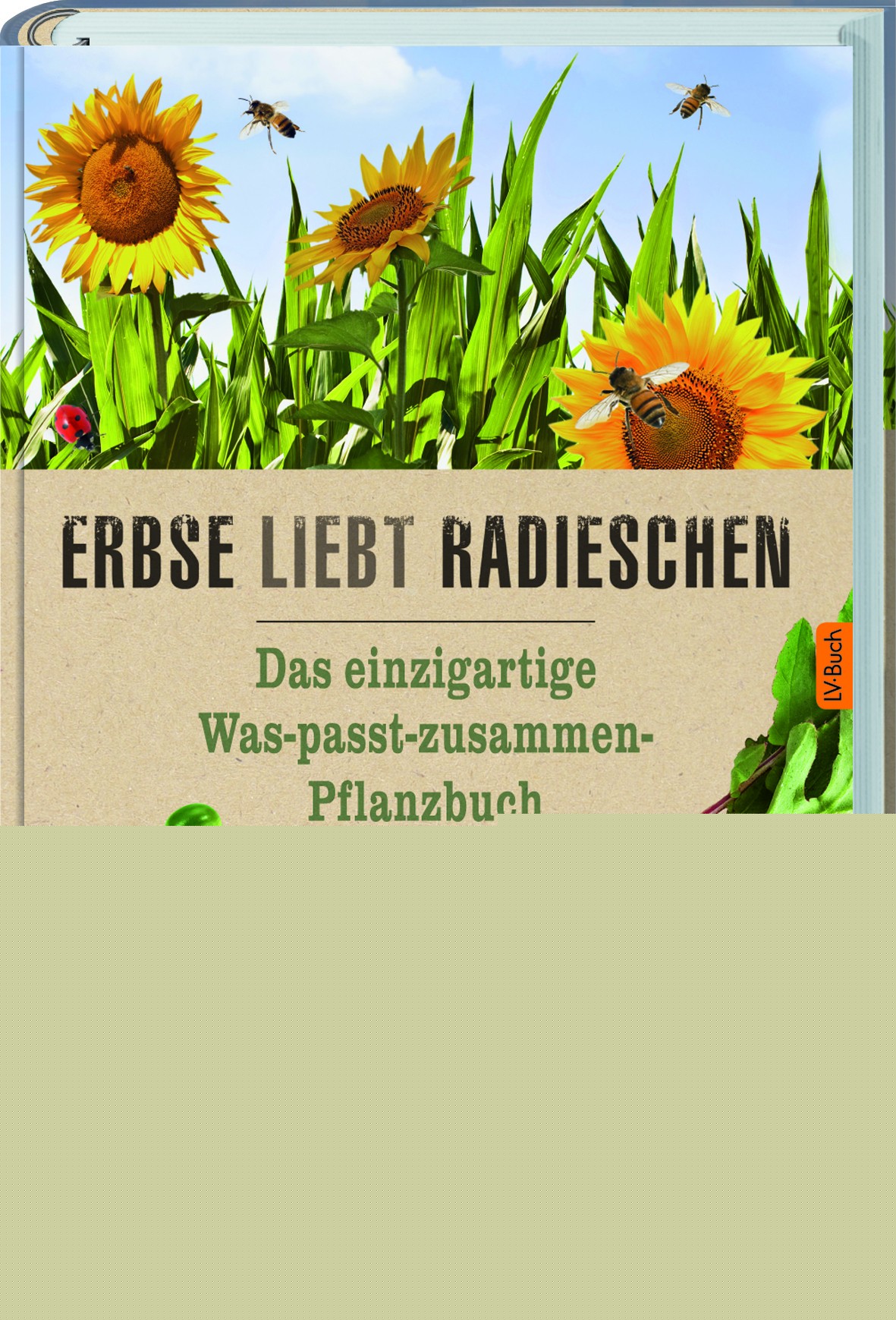 Erbse liebt Radieschen