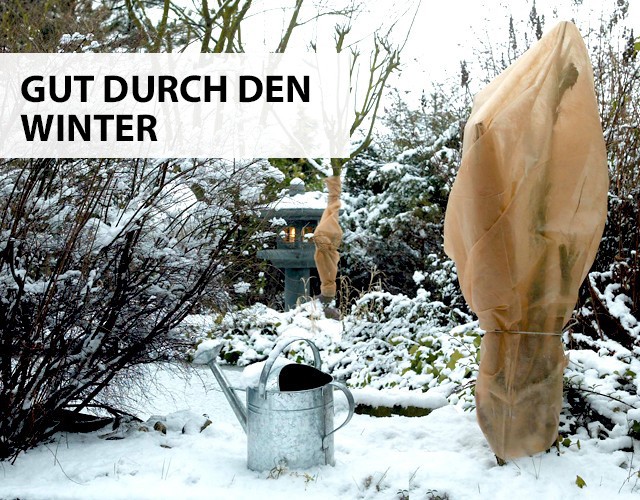 Gut durch den Winter