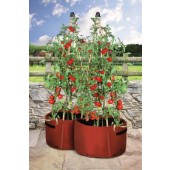 Tomaten-Pflanzsack, 2-er Pack